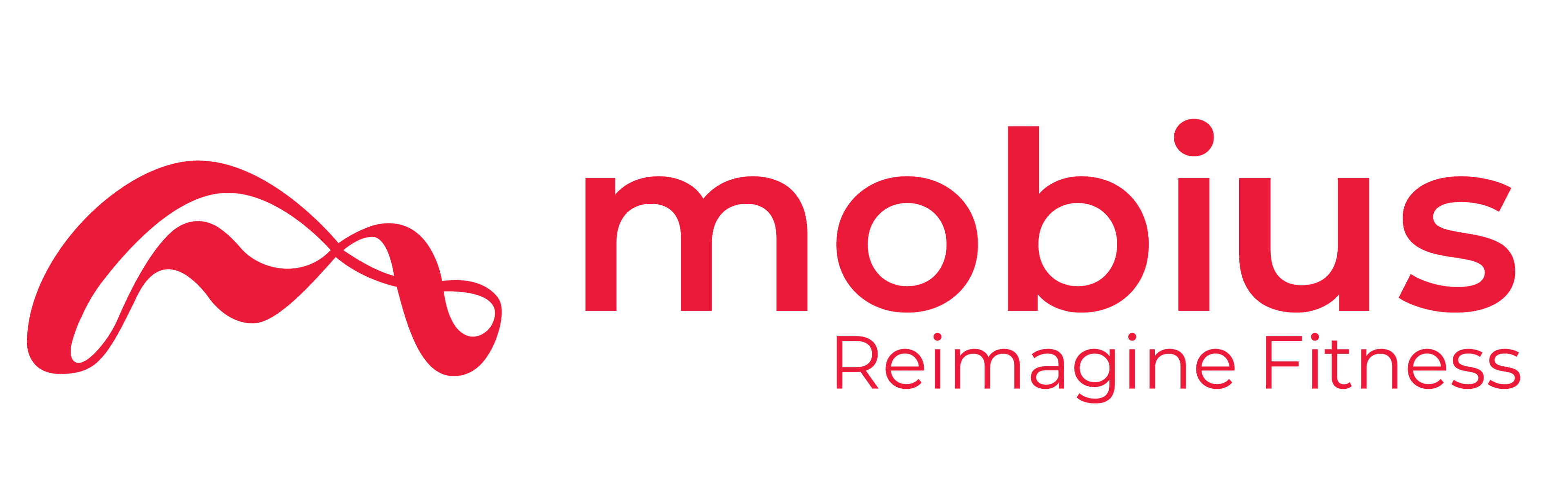 Mobius Logo