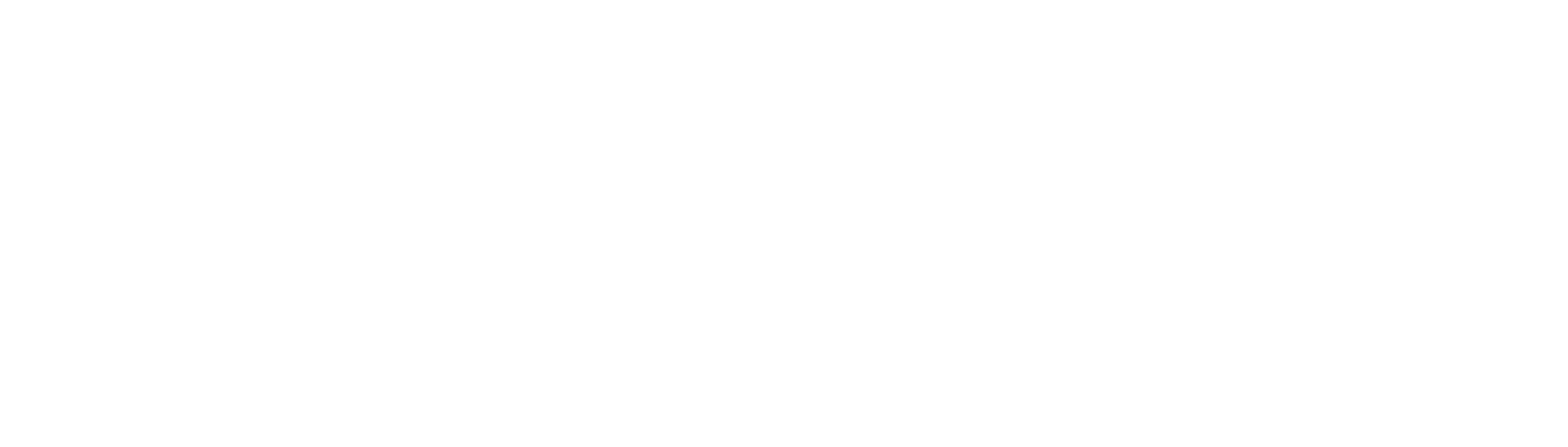 Mobius Logo
